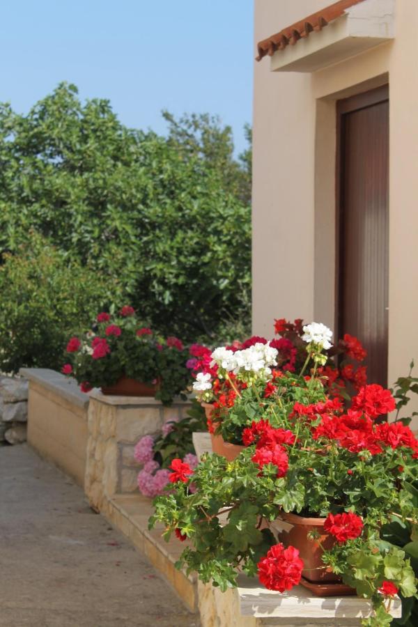 Apartments By The Sea Veli Rat, Dugi Otok - 436 외부 사진